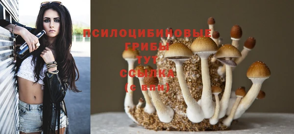 COCAINE Бородино