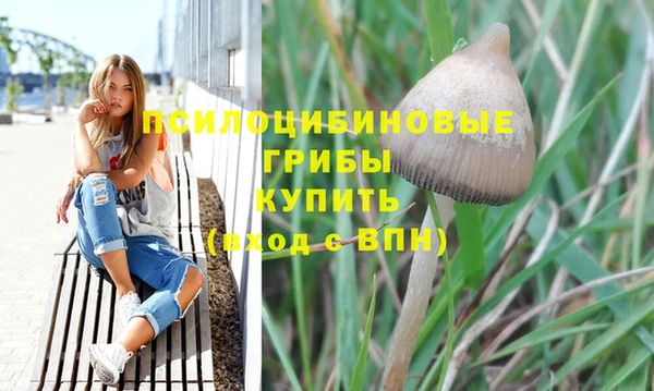 mdpv Бронницы