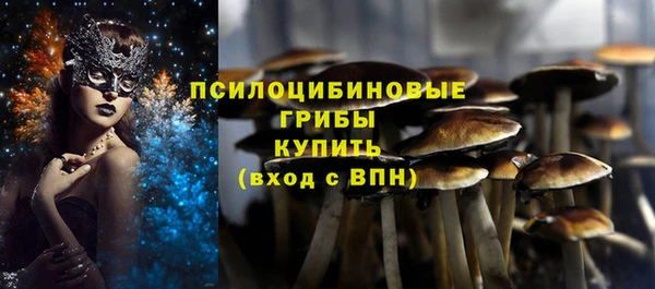 ешки Бугульма