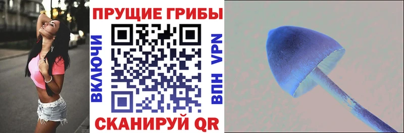 Галлюциногенные грибы Cubensis  Магнитогорск 